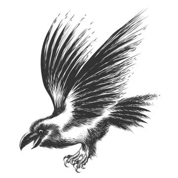 Raven Sketch Stock Illustration
