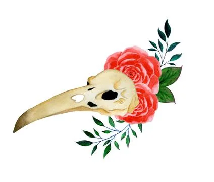 Raven skull 스톡 일러스트