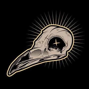 Raven skull illustration vector. Stock Illustration