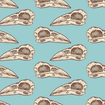 Raven Skull pattern seamless. Raven head skeleton background. Vector texture Stock Illustration