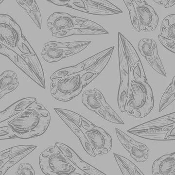Raven Skull pattern seamless. Raven head skeleton background. Vector texture Stock Illustration