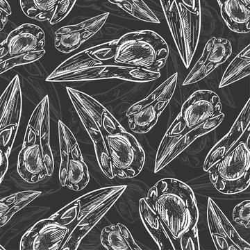 Raven Skull pattern seamless. Raven head skeleton background. Vector texture Stock Illustration