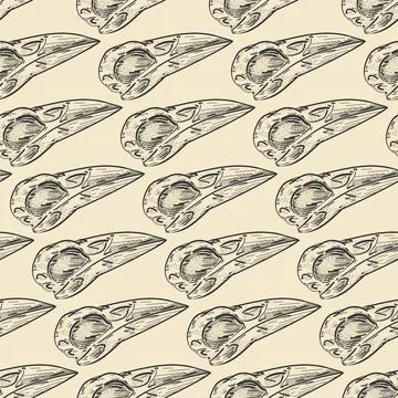 Raven Skull pattern seamless. Raven head skeleton background. Vector texture Stock Illustration