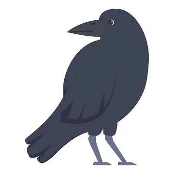 Raven standing and looking back over its shoulder Stock Illustration