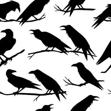 Ravens seamless pattern Stock Illustration