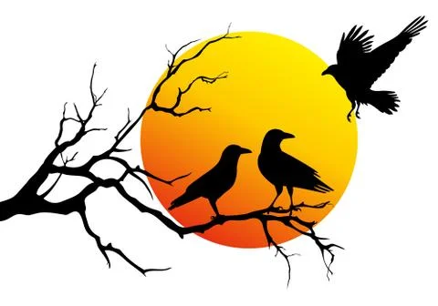 Ravens sitting on tree branch, vector illustration Stock Illustration