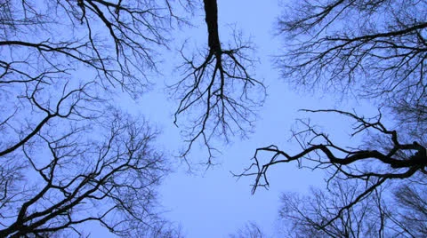 Ravenswood Rain Stock Footage 24817288