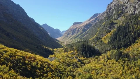 The ravine at the autumn 動画素材 94593502