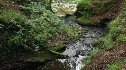 A ravine Bridge of Allen Stock Footage 52254924