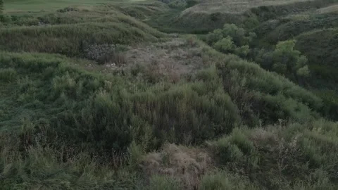 Ravine Flyover Stock Footage 261065680