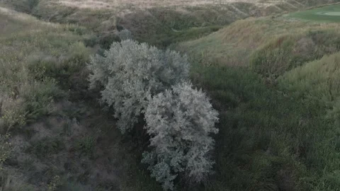 Ravine Flyover Stock Footage 261065760