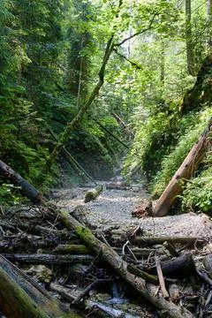 Ravine 스톡 사진