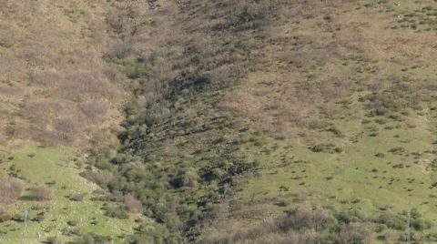 Ravine on slope, tilt up Stock Footage 49653315