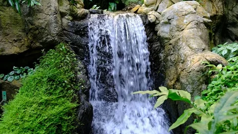 Ravine stream Stock Footage 81652026