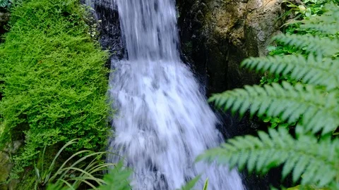 Ravine stream Stock Footage 81652161