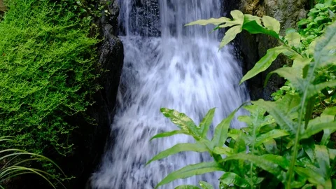 Ravine stream Stock Footage 81652346