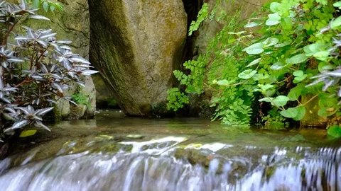 Ravine stream Stock Footage 81654766