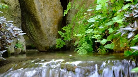 Ravine stream Stock Footage 81654815