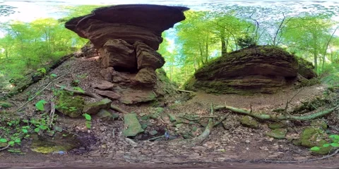 A ravine with a stream, a wildcat, trees, and sandstone Vidéo 333777495