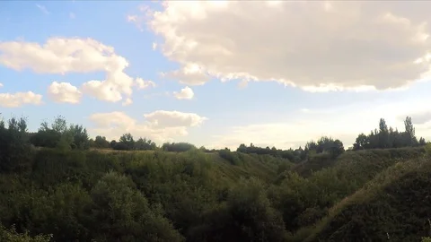 Ravine with trees in park in summer Stock Footage 82369462