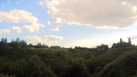 Ravine with trees in the park in summer Stock Footage 82370741