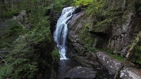 Ravine waterfall in the woods. Stock Footage 267129956