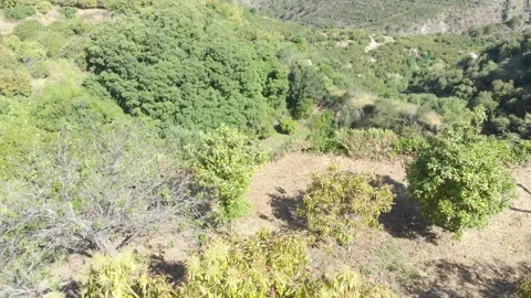 Ravines in the field Vidéo 154394344