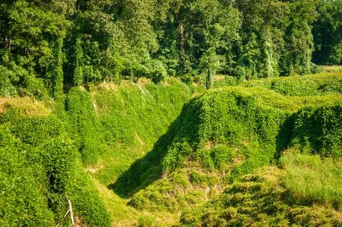 Ravines Stock Photos