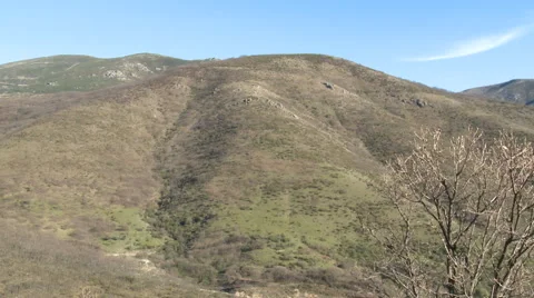 Ravines, rills on slope in front of leafless tree Stock Footage 49653235