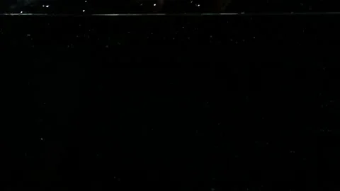 Ravioli drop 3 Stock Footage 131856449