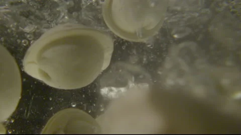 Ravioli drop into boiling water views from the water  Vídeos de archivo 55137032