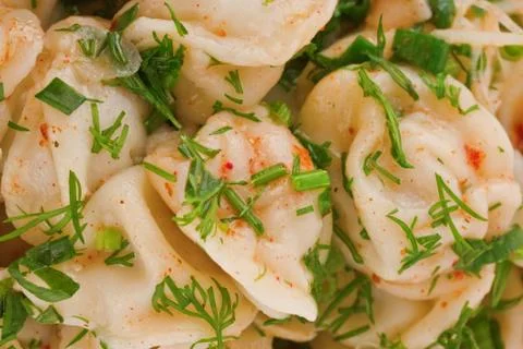 Ravioli with herbs Stock Photos