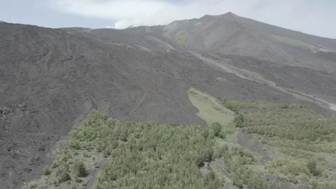 RAW 4K Drone Footage going up the hill to the Etna Volcano in Sicily Vídeo Stock 259553862