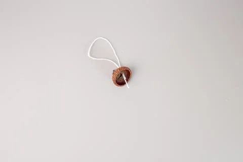 Raw acorn cap with string loop, creative nature craft, autumn decor, handma.. Foto stock