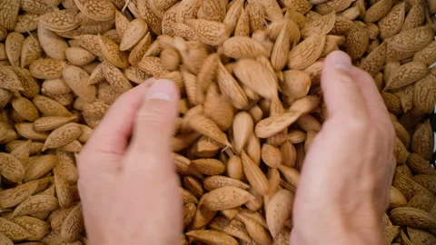 Raw Almonds Being Held in Cupped Hands. Stock Footage 316795933