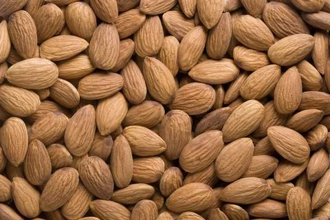 Raw Almonds Stock Photos