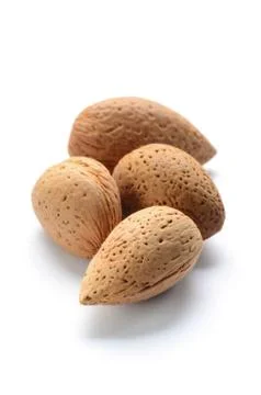 Raw almonds with shell Stock Photos