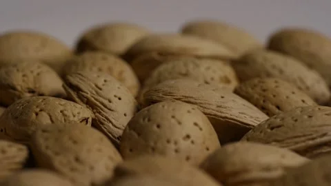 Raw almonds in shells rotating in close up view Stock Footage 328143159