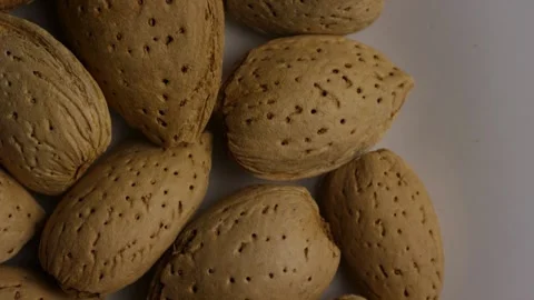 Raw almonds in shells rotating on white plate surface Stock Footage 328143518