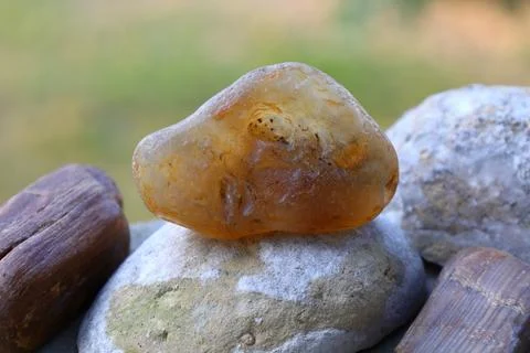 Raw amber stone on rocks Stock Photos