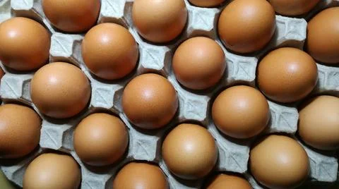 Raw and fresh chicken eggs Stock Photos