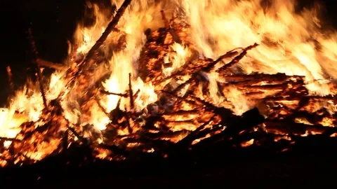 Raw and jerky hand held POV shot of massive tree burning Stock Footage 122306570