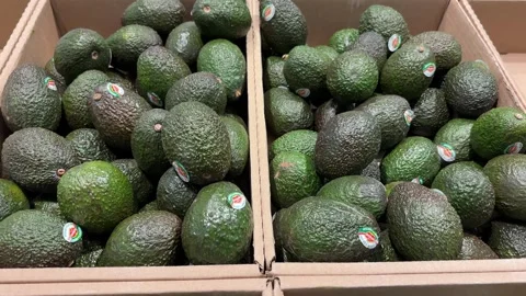 Raw avocados on display  Stock Footage 312761185