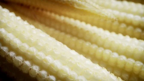 Raw baby corn cob super close up stock f... | Stock Video | Pond5