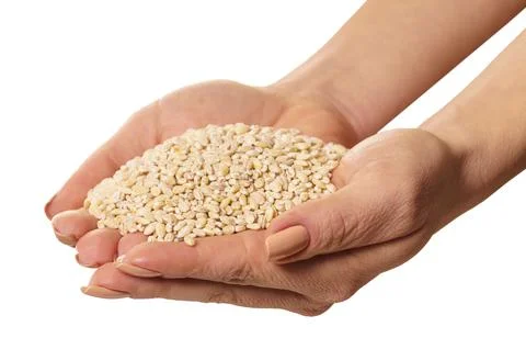 Raw barley in hands Stock Photos