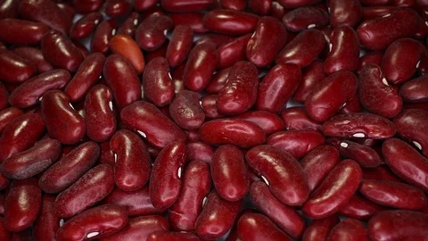 Raw Beans Bean Texture on Rotating Rolling Plate Background Video For Any Use Stock Footage 127499820
