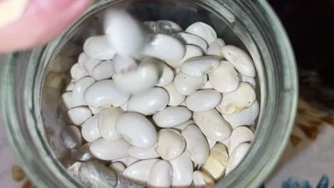 Raw beans collected in the jar Stock Footage 221784440
