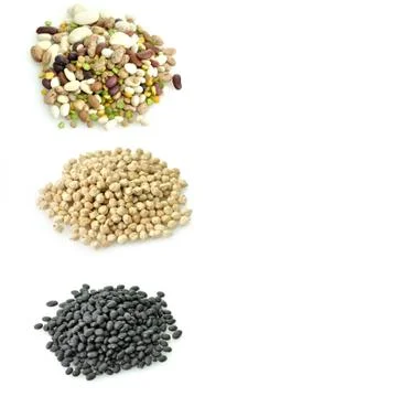 Raw beans collection Stock-Fotos