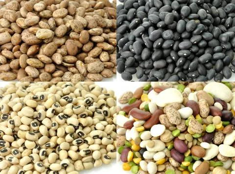 Raw beans collection Stock Photos