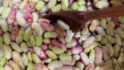Raw beans Video stock 217402764